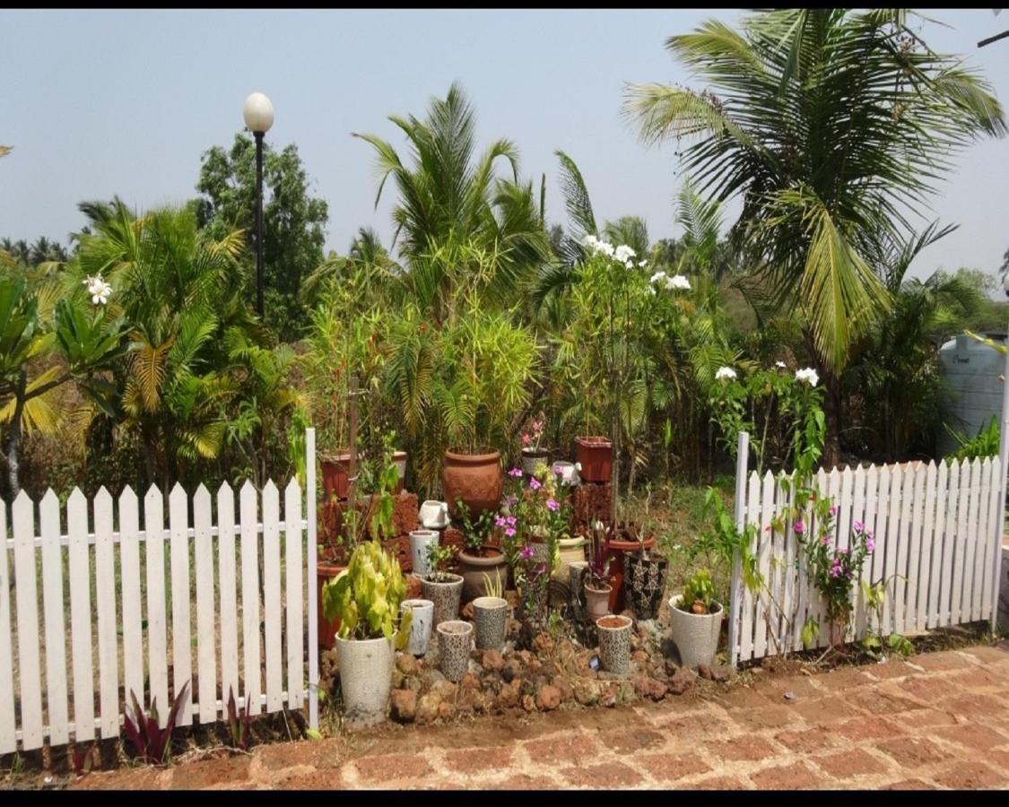 Exotica Beach Retreats Diveagar Bagian luar foto