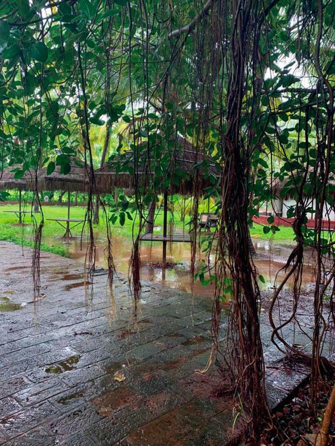 Exotica Beach Retreats Diveagar Bagian luar foto