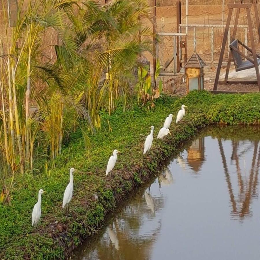 Exotica Beach Retreats Diveagar Bagian luar foto